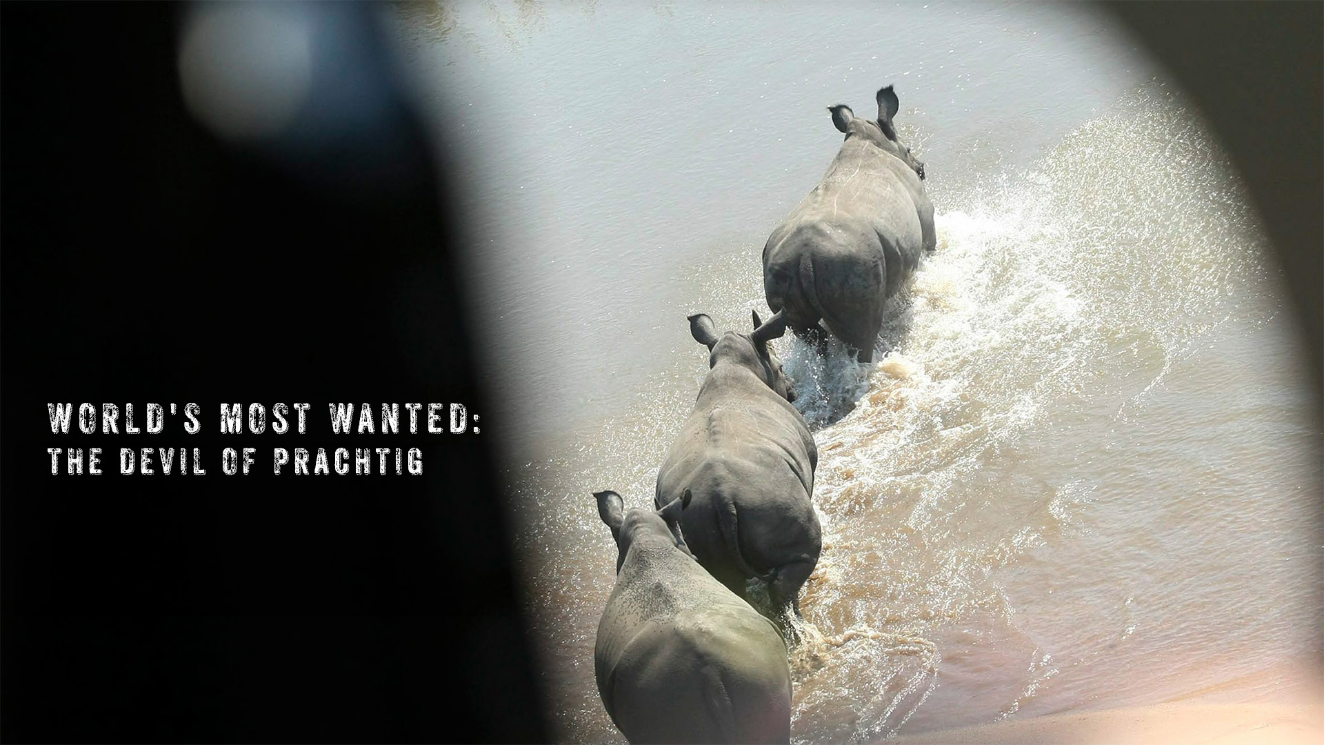 WORLD'S MOST WANTED: THE DEVIL OF PRACHTIG